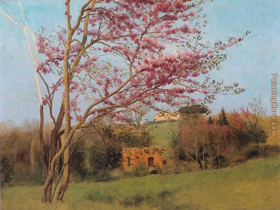 Blossoming Red Almond